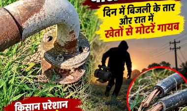 गुरदासपुर के गांवों में चोरों का आतंक, दिन में बिजली के तार और रात में खेतों से मोटरें गायब