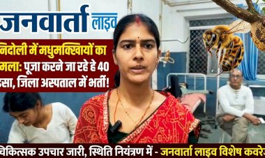 राजसमंद में बड़ा हादसा: पूजा करने जा रहे ग्रामीणों पर मधुमक्खियों का हमला; ट्रक गुजरते ही भड़कीं, 40-50 लोग अस्पताल में भर्ती